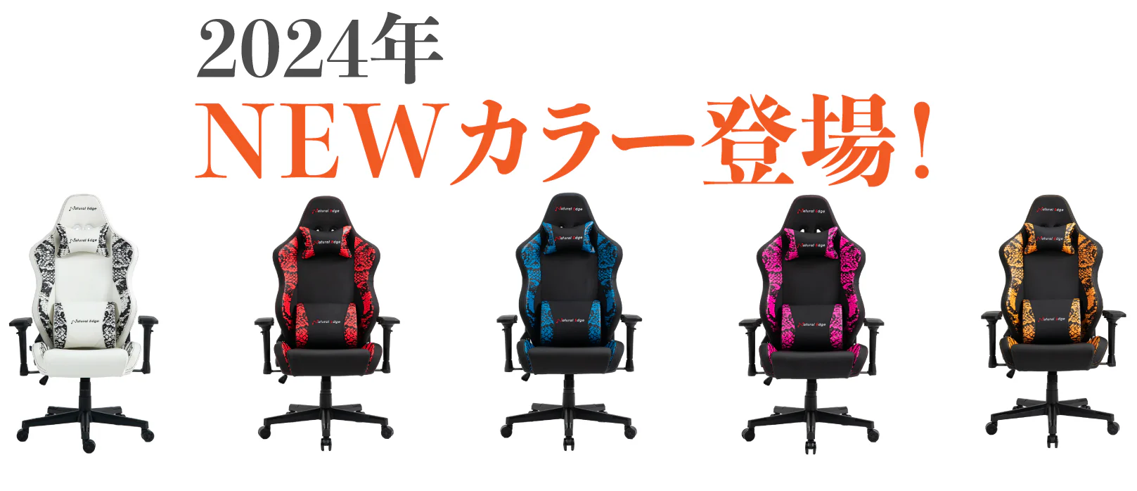 カラー展開